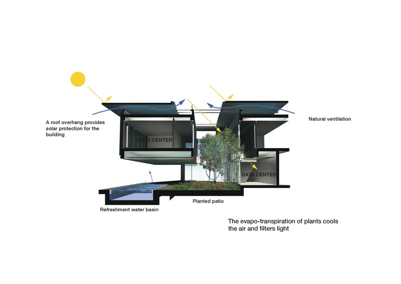 Section diagram illustrating the cantilevered roof planes, water basin, and central planted patio with tree