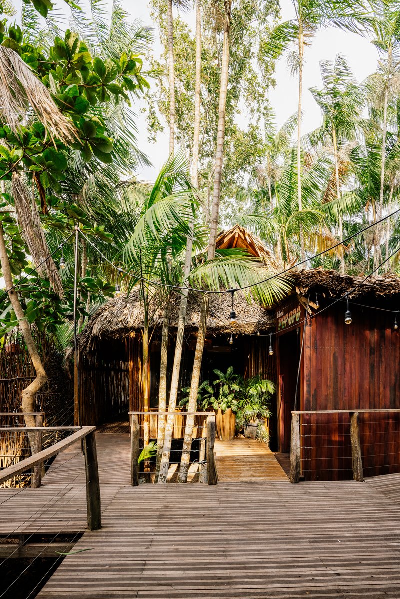 Wooden walkway crossing through cluster of palm trunks toward thatched structure in dappled sunlight