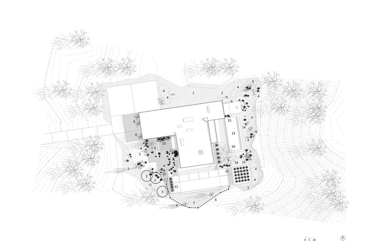 Site plan drawing showing the residence with pool and surrounding desert landscape plantings