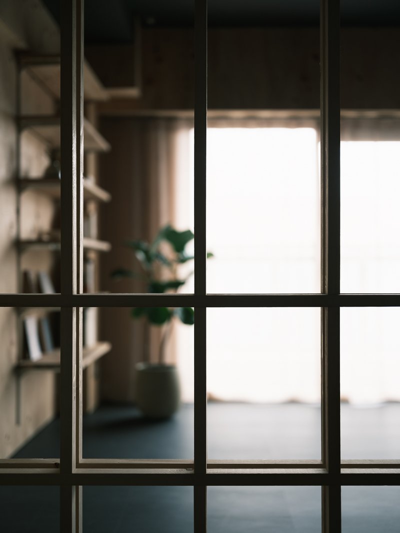 Black steel-framed glazing dividing interior shelving from a sunlit room with a potted plant