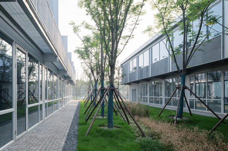 Elevated glazed walkway between two buildings with young trees supported by black steel braces along a planted median