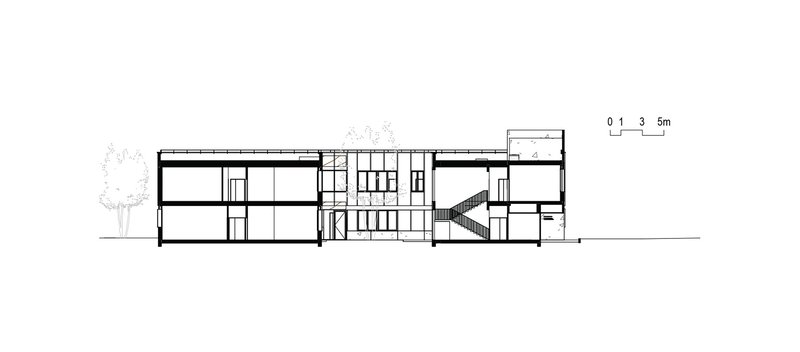 Section drawing showing three-story volume with central staircase and a tree to the left