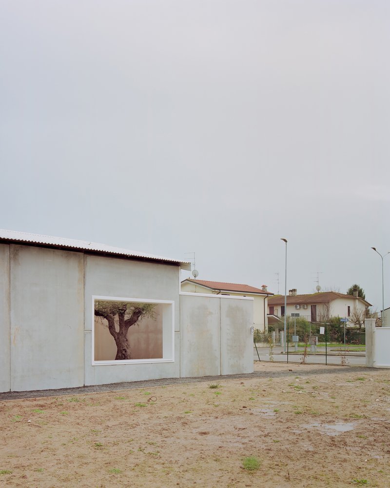 Street-facing elevation with large photograph of a tree framed in white plaster wall