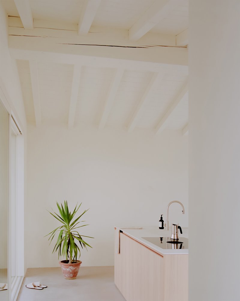 Kitchen island with pale timber countertop beside a potted plant under a sloped plank ceiling