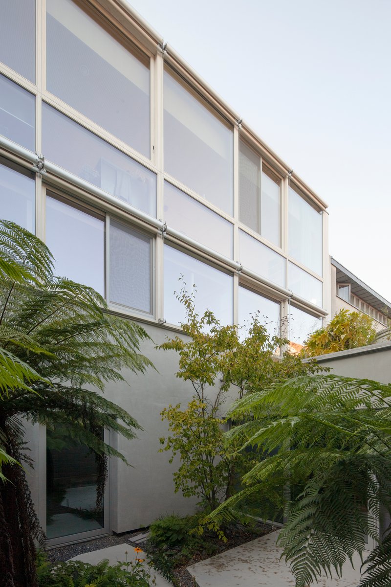 Interior courtyard with gridded translucent facade above rendered walls and young trees