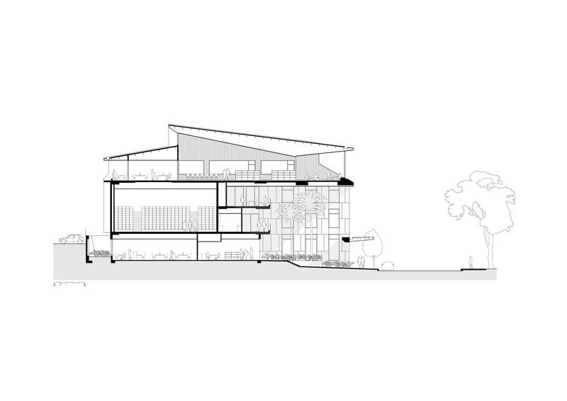 Section drawing showing the sloped roof over multiple levels with a tree adjacent to the building