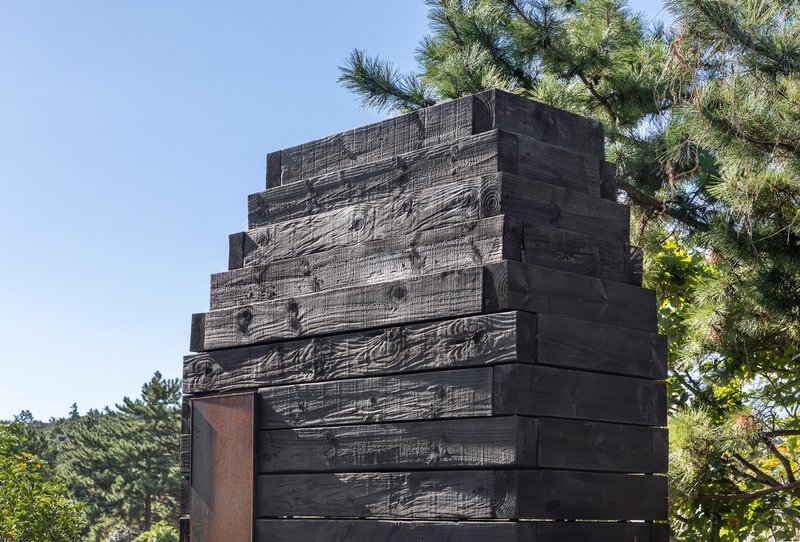 Close-up of charred horizontal timber planks showing textured grain and stepped profile
