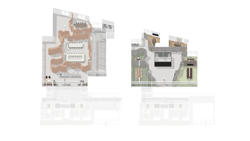 Axonometric drawing showing two roof plan options with organic forms and outdoor landscaping elements