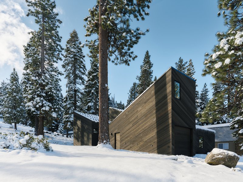 Tall gabled facade with horizontal wood siding rising between snow-covered conifers in bright sunlight