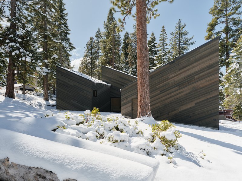 Three intersecting gabled volumes with wood cladding arranged around native plantings in snow