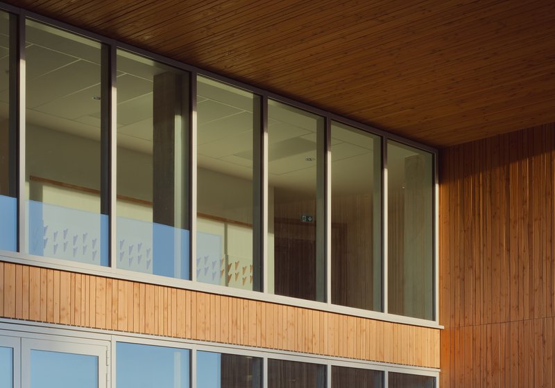 Exterior facade with vertical timber cladding and ribbon windows beneath soffit overhang