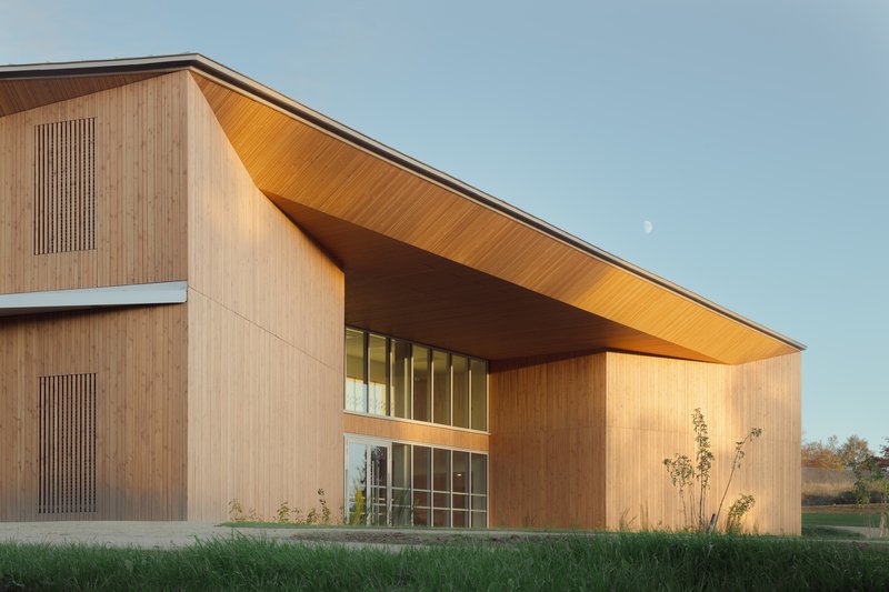 Timber entry canopy with deep soffit overhang and vertical cladding at dusk with moon visible