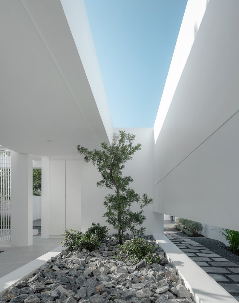 Narrow courtyard with linear skylight above pine tree and rock garden between parallel walls