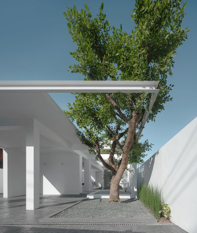 Carport with white steel frame sheltering a preserved tree in gravel beneath clear sky