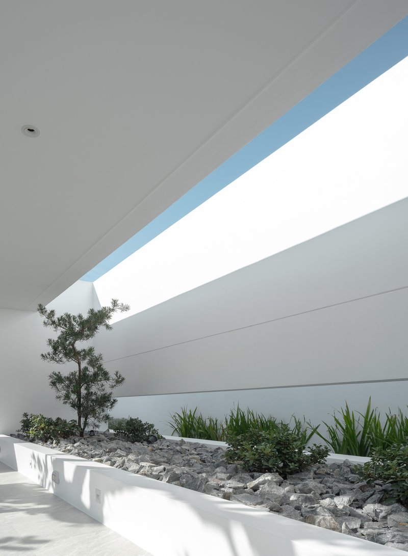 Interior courtyard with linear skylight above planted bed containing pine and gravel mulch