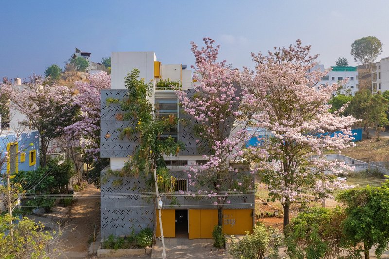 Front facade with patterned concrete screens and yellow openings surrounded by flowering pink trees