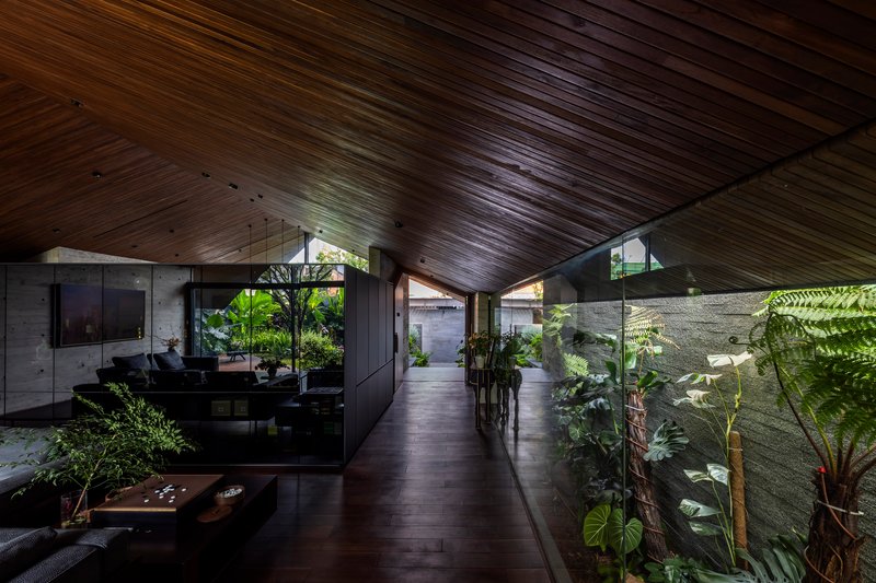 Interior hallway with sloped wood ceiling and glazed walls opening to planted courtyards on both sides