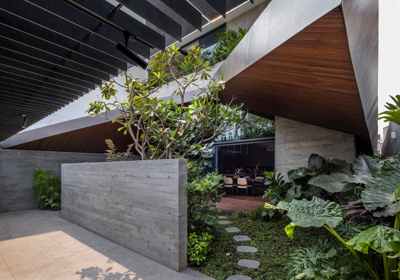 Concrete planter wall with young tree beneath the angular timber ceiling plane and staircase beyond