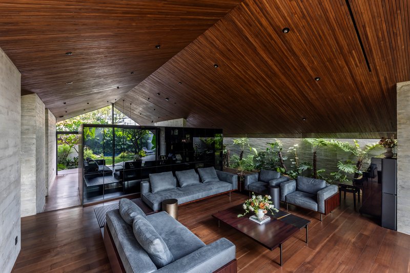 Living room with timber-clad angled ceiling and clerestory windows overlooking planted beds