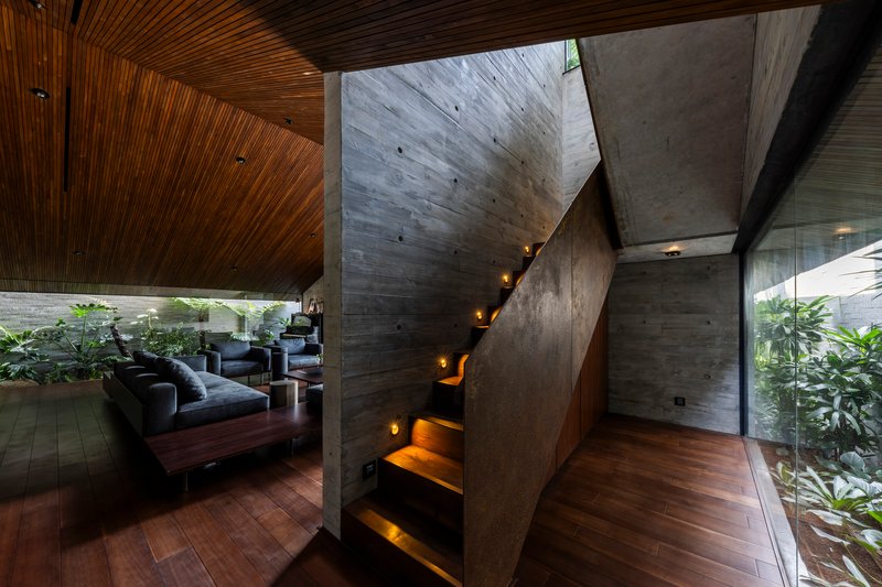 Timber and concrete staircase with integrated lighting ascending beside planted courtyards