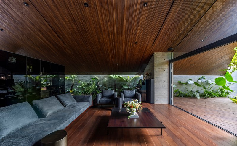 Living area with timber ceiling opening to wooden deck and planted bed with large-leaf foliage