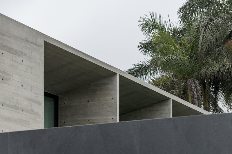 Board-formed concrete overhang with exposed soffit framing palm trees against an overcast sky