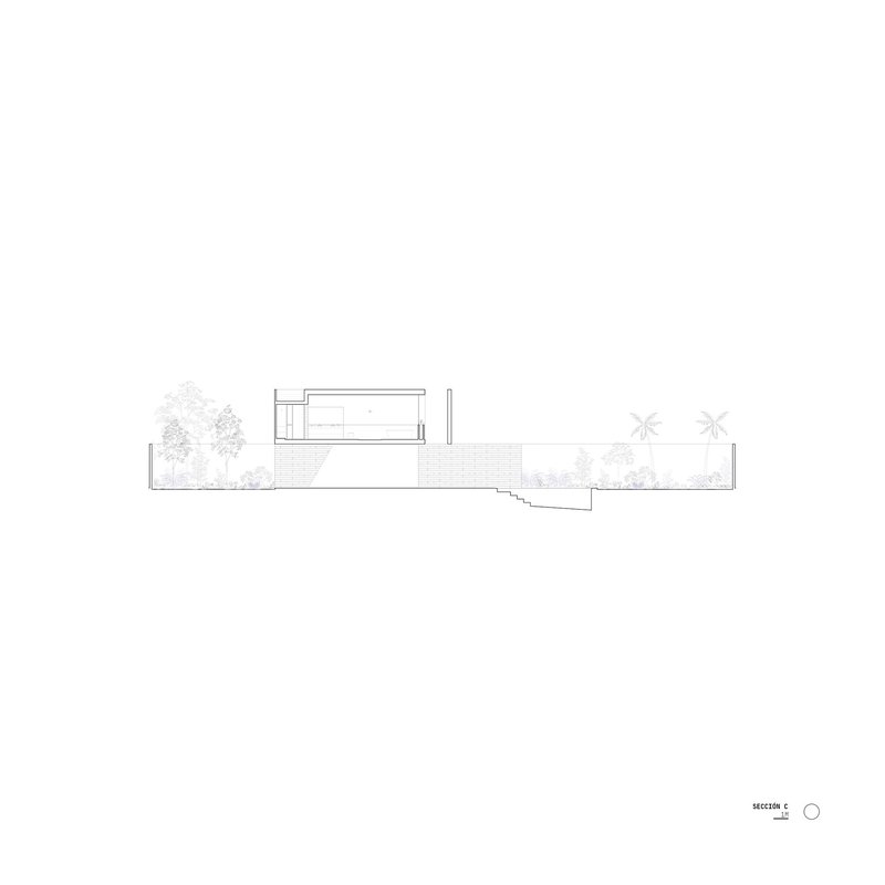Section drawing cutting through the split-level structure with trees and palm trees indicated in silhouette