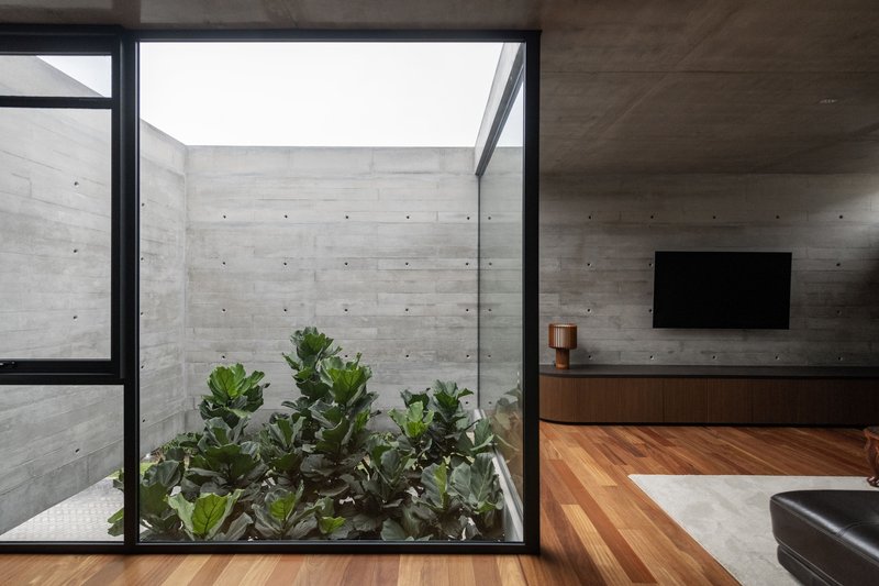Interior courtyard planter framed by floor-to-ceiling glass and board-formed concrete walls with skylight above