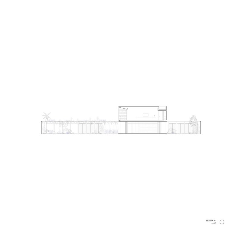 Section drawing showing the elevated volume above a colonnade with a palm tree at left