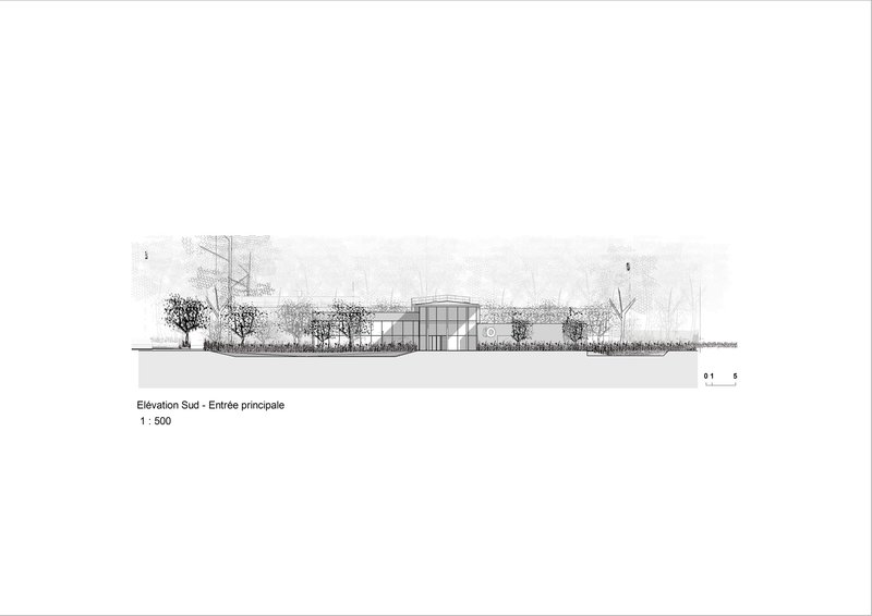 South elevation drawing showing the low horizontal profile behind a row of trimmed trees and ornamental plantings