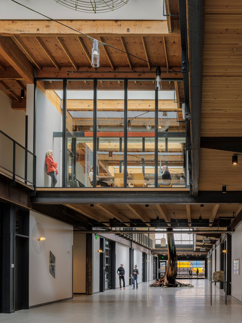 Multi-level corridor showing timber ceiling structure, steel mezzanines, and a preserved tree trunk