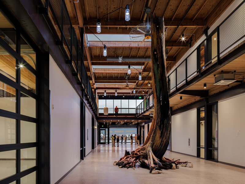 Interior corridor with exposed timber beam structure and a preserved tree trunk running from floor to ceiling