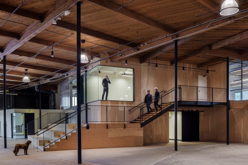Timber-clad mezzanine volume with black steel stairs and a dog standing on the polished concrete floor