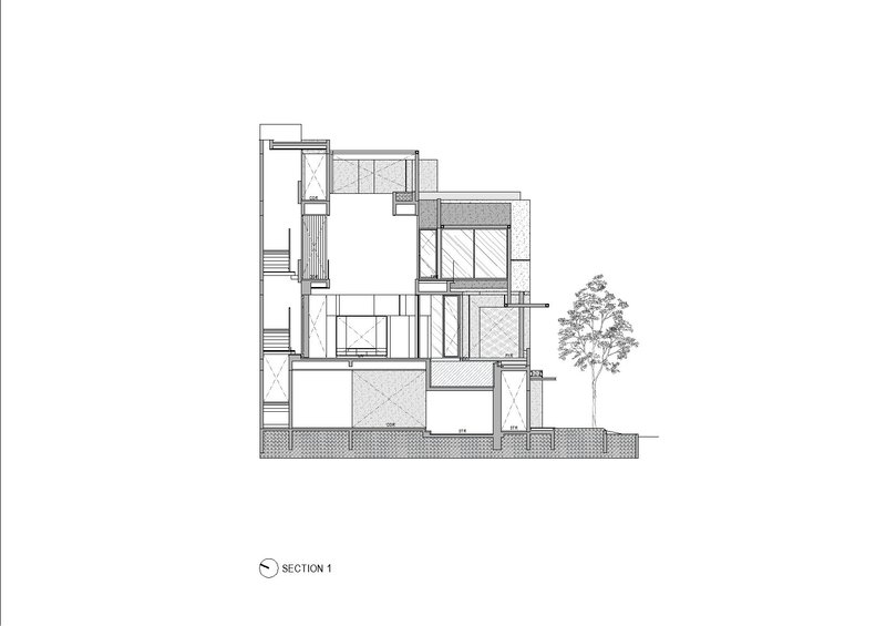 Section drawing revealing stacked floor levels with double-height void and adjacent tree
