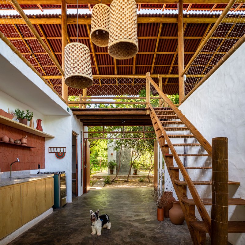 Interior space with exposed timber roof structure, woven pendant lights, timber staircase and a dog on polished concrete floor