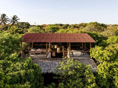 This architectural image showcases a tropical treehouse-style structure nestled within lush greenery