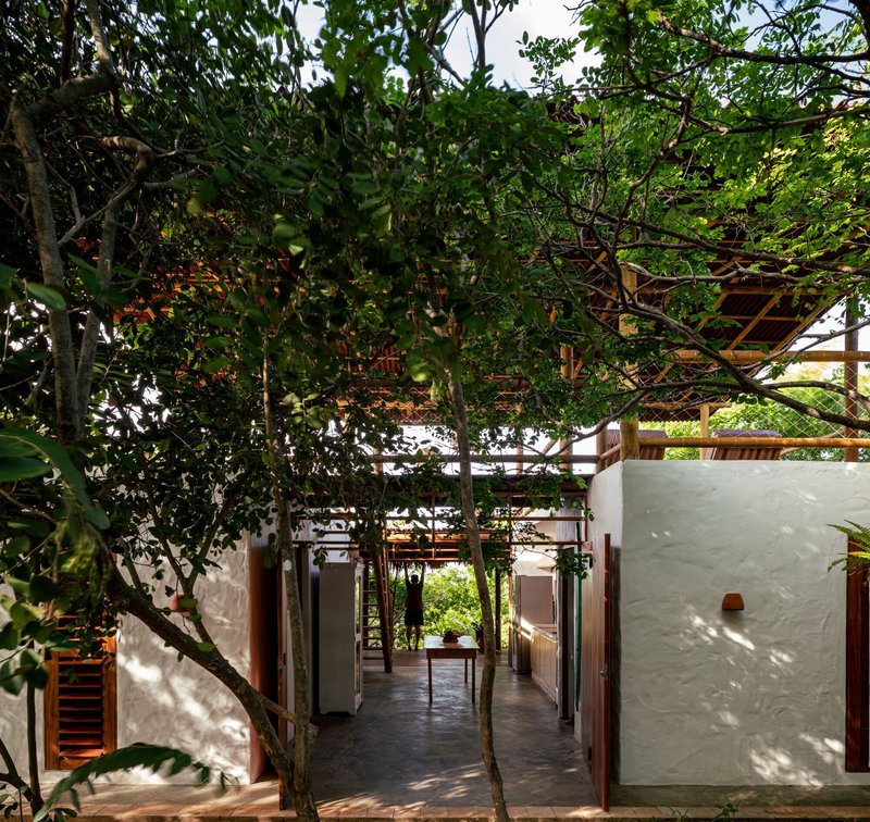 Covered corridor with white plastered walls and timber slat screens shaded by overhanging tree branches