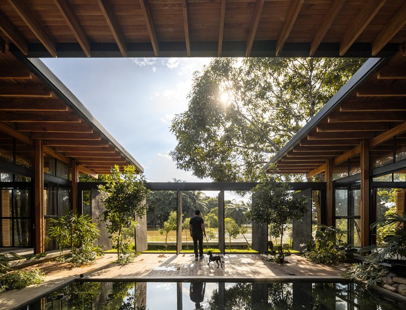 Covered courtyard with exposed timber ceiling, reflecting pool, and diagonal skylight framing a tree overhead