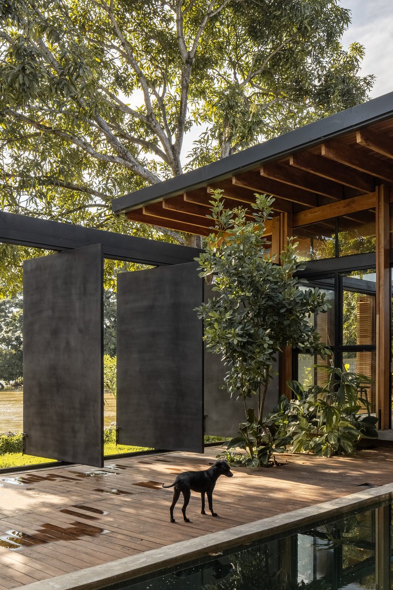 Timber deck terrace with steel-framed screen walls and planted beds with dog standing in late afternoon light