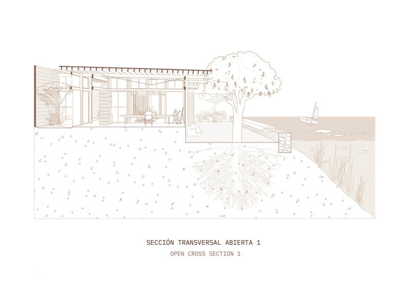 Cross section drawing showing interior space with exposed structure opening to a waterside landscape with tree