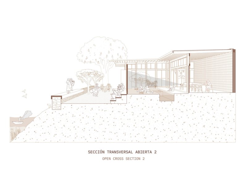 Cross section drawing revealing interior volumes with timber framing and glazing overlooking a sloped planted terrain