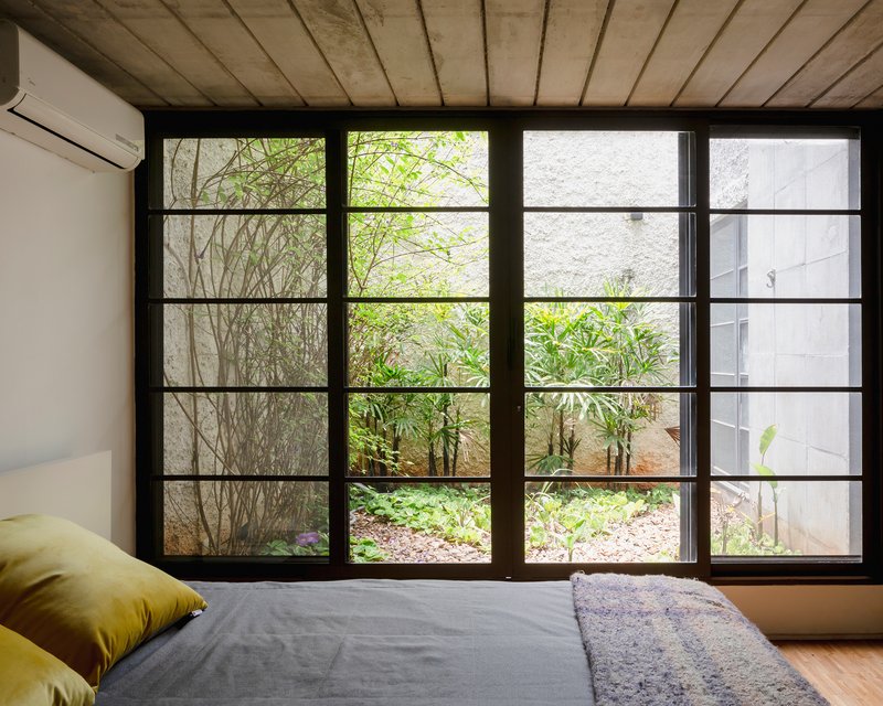 View through black steel-framed window to interior courtyard with ground cover and young trees