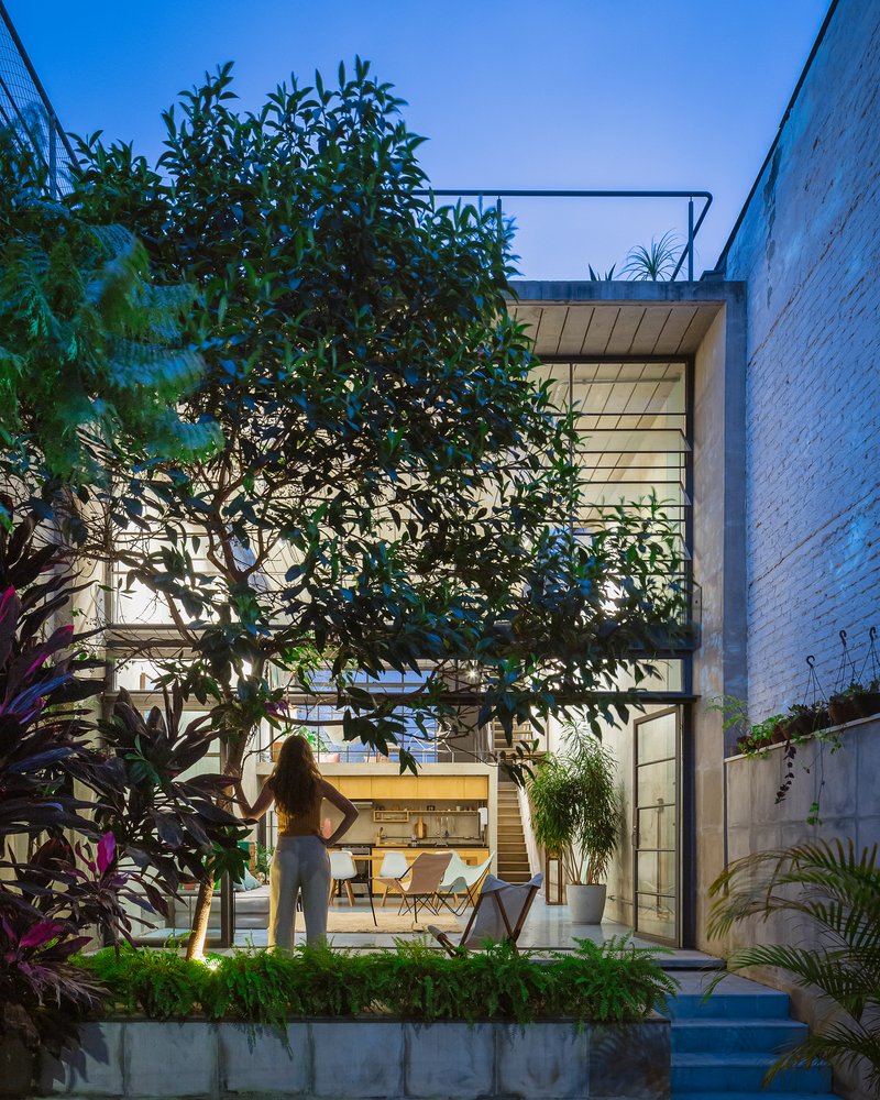 Glass facade with steel frames behind a planted courtyard tree at twilight