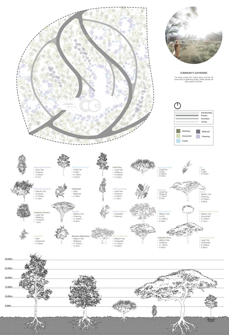 A layered composition of indigenous Ethiopian species restores biodiversity while shaping spatial experience.