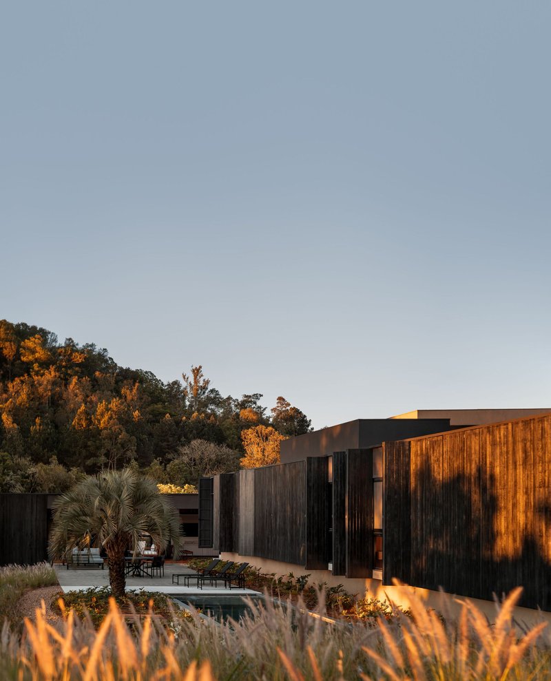 View across the planted garden with pool toward the linked timber pavilions at golden hour