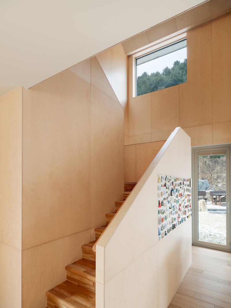 Timber staircase with plywood paneled walls and high window framing treetops outside