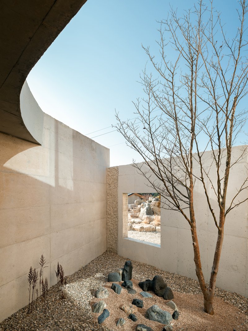 Courtyard with bare tree, gravel ground, dark stones, and curved concrete walls under blue sky