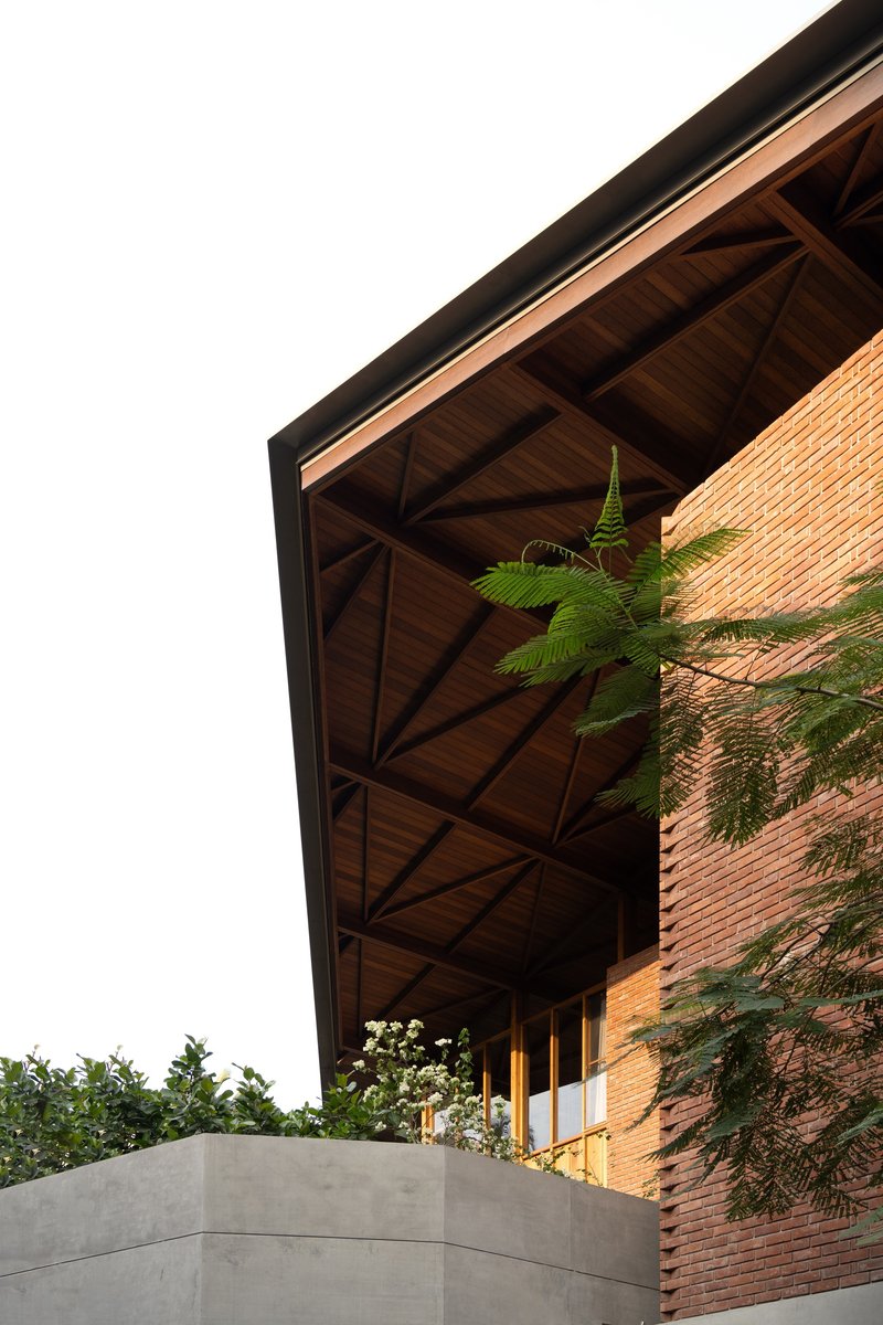 Cantilevered timber roof with exposed diagonal bracing above brick facade and concrete wall with ferns
