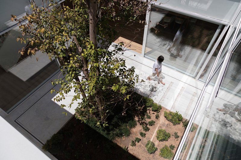 Overhead view of an interior courtyard with a tree and planted beds between glass-walled rooms