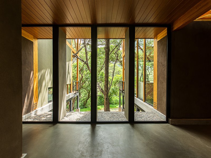 Interior view through four tall glass doors framing tree trunks and dappled sunlight on gravel courtyard